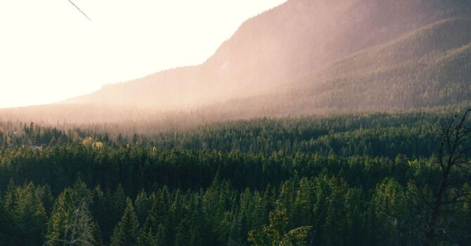 Starting your journey 