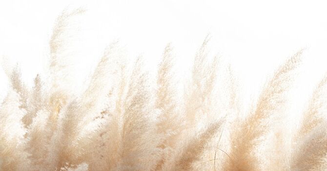 How GLP-1 Medications Work: Caring for the Body God Designed